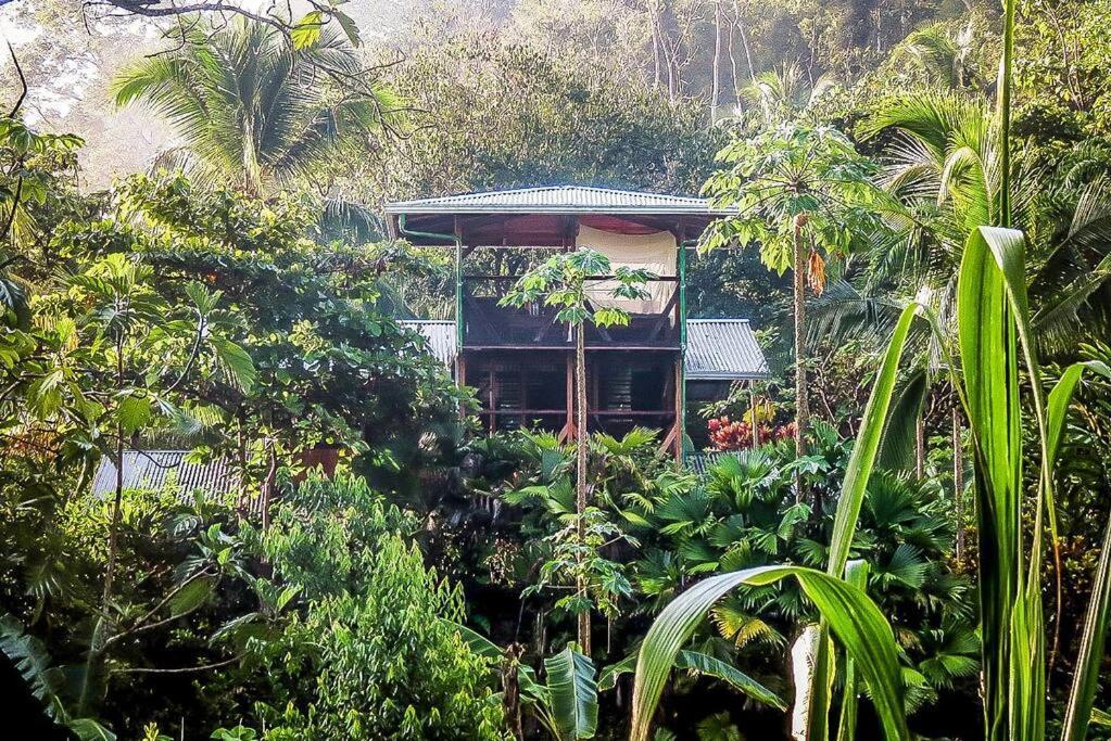 Casa Aire Libre Villa Puerto Jimenez Exterior photo