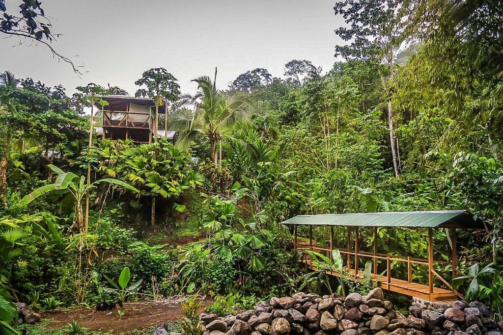 Casa Aire Libre Villa Puerto Jimenez Exterior photo