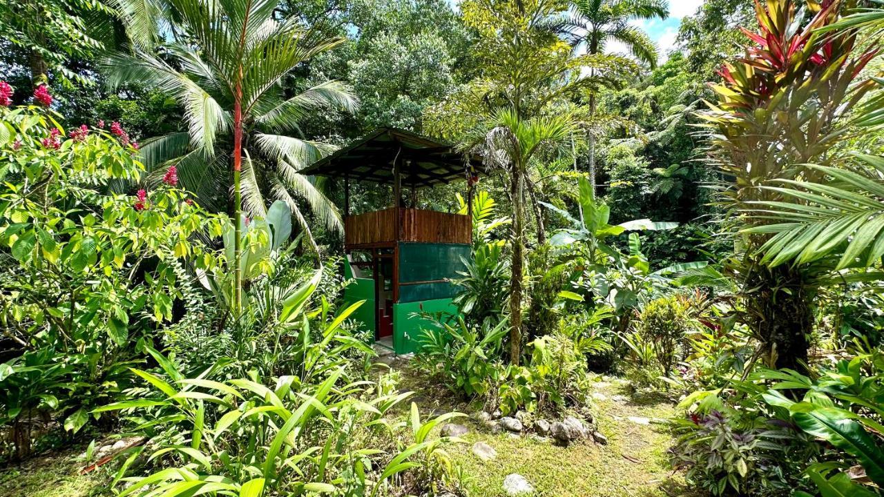 Casa Aire Libre Villa Puerto Jimenez Exterior photo